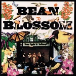 Bean Blossom (Live)