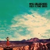 Noel Gallagher's High Flying Birds - Black & White Sunshine