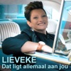 Dat Ligt Allemaal Aan Jou - Single