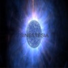 Sinestesia