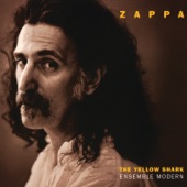 Frank Zappa - Times Beach II