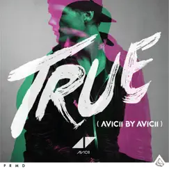 Addicted To You (Avicii By Avicii) Song Lyrics