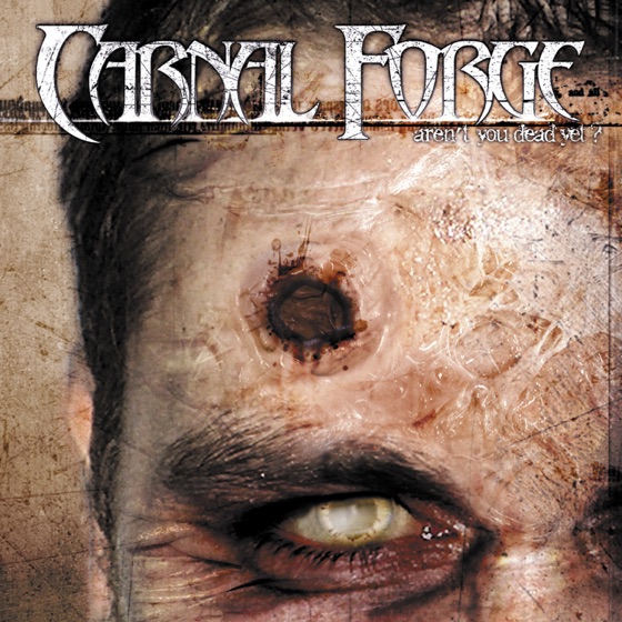 Cover artwork for Waiting for Sundown