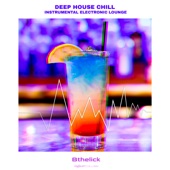 Deep House Chill Instrumental Electronic Lounge artwork