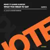 Stream & download What You Mean to Say (feat. Sander Nijbroek) - Single