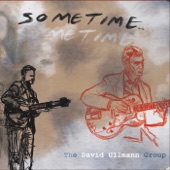 The David Ullmann Group - Various