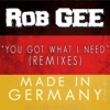 You Got What I Need (Remixes) [Made in Germany] - Single