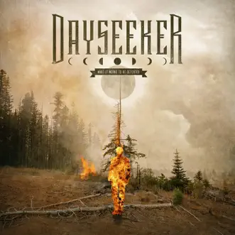 Hollow Shell by Dayseeker song reviws