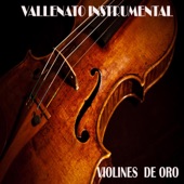 Violines de Oro (Vallenato Instrumental) artwork