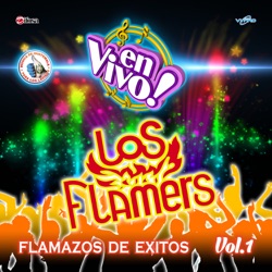 Los Flamers - La Güera Salome (En Vivo)