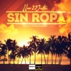 Sin Ropa (feat. Tony Fernandez) - Single