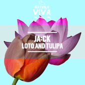 JA:CK - Tulipa