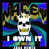 I Own It (Jauz Remix) [feat. Angel Haze] artwork