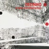 Zezinho - Garota Moderna