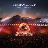 Comfortably Numb by David Gilmour