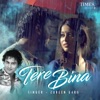 Zubeen Garg & Alisha Chinai - Tere Bina