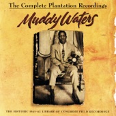 The Complete Plantation Recordings artwork