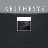 Aesthesys - I artwork