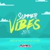 Summer Vibes 2018: Best of Deep Tropical House