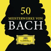 Brandenburg Concerto No. 6 In B-Flat, BWV 1051: II. Adagio ma non tanto artwork