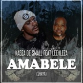 Amabele Shaya (feat. Leehleza) artwork