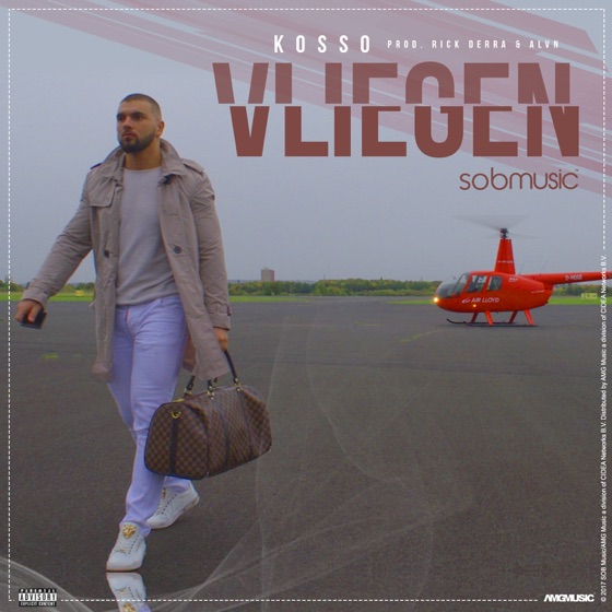 Cover artwork for Vliegen