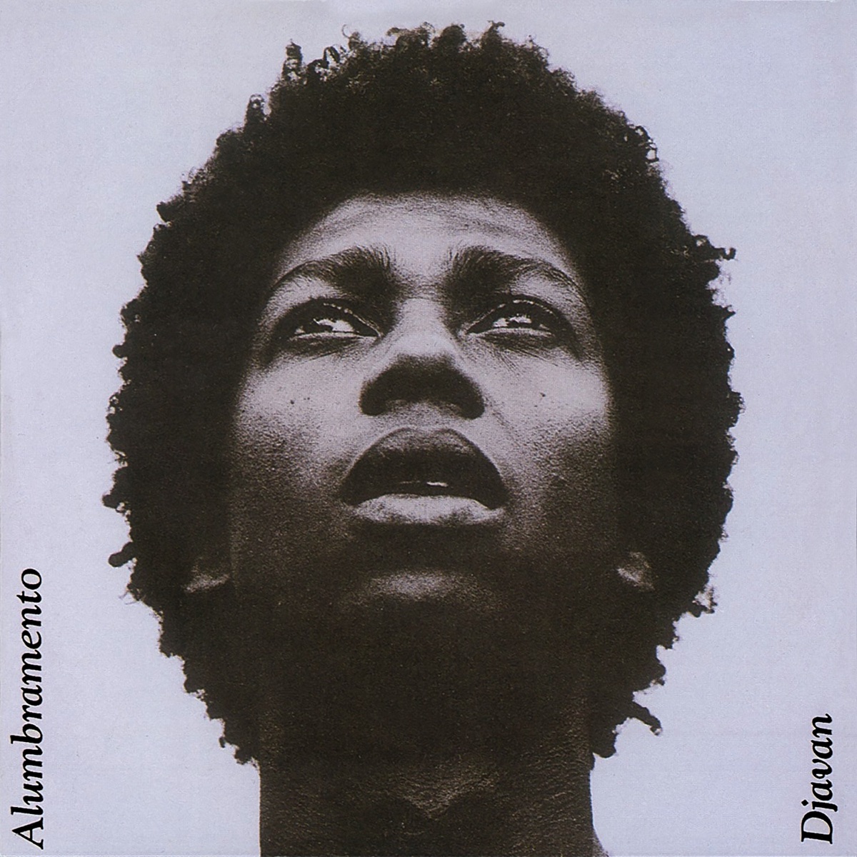 安い割引 Djavan LPレコード2枚セット 洋楽 - mahaayush.in