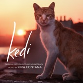 Kedi (Original Motion Picture Soundtrack) artwork