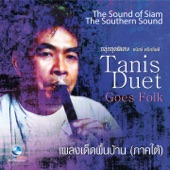 เพลงเด็ดพื้นบ้าน ภาคใต้ (Thai Flute Music By Tanis Sriklindee) artwork