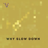 Why Slow Down artwork
