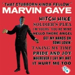 Marvin Gaye - Hitch Hike