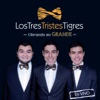 Los Tres Tristes Tigres - Los Tres Tristes Tigres (Obertura)