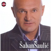 Saban Saulic artwork