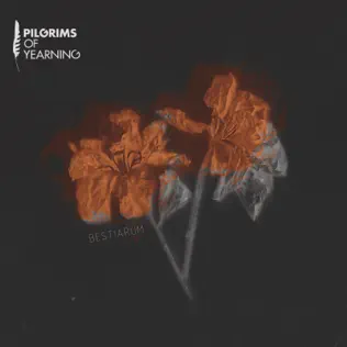 ladda ner album Pilgrims of Yearning - Bestiarum