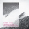 Poesie Musik Showcase, Vol. 2 - Mixed by Israel Vich