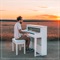 Shawn Mendes the Piano Tribute Medley: There's Nothing Holdin' Me Back / Mercy / Youth / In My Blood / Treat You Better / Lost In Japan - Single