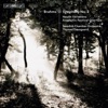 Swedish Chamber Orchestra & Thomas Dausgaard - Variations on a Theme by Haydn, Op. 56a "St. Anthony Variations": Theme. Andante