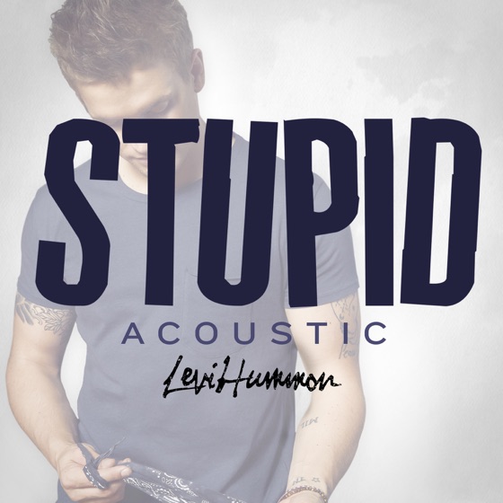 Cover artwork for Stupid