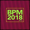 BPM 2018 Rebels, 2018