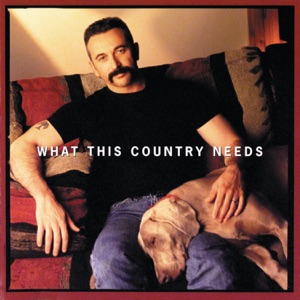Aaron Tippin - What This Country Needs - Line Dance Musik