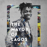 Mayorkun - The Mayor of Lagos artwork