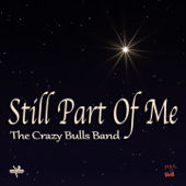 Still Part of Me - The Crazy Bulls Band