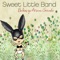 Focus - Sweet Little Band lyrics