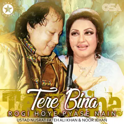 Tere Bina Rogi Hoye Pyase Nain - Single - Nusrat Fateh Ali Khan