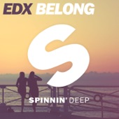 Belong (Extended Mix) artwork