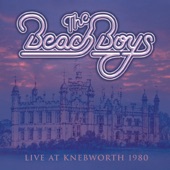 Good Timin' - Live at Knebworth 1980 artwork