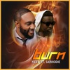 Burn (feat. Sarkodie) - Single, 2018