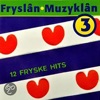 Fryslan Muzyklan 3