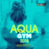 Aqua Gym 2018 (DJ Mix)