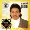 Oro Salsero: David Pabon
